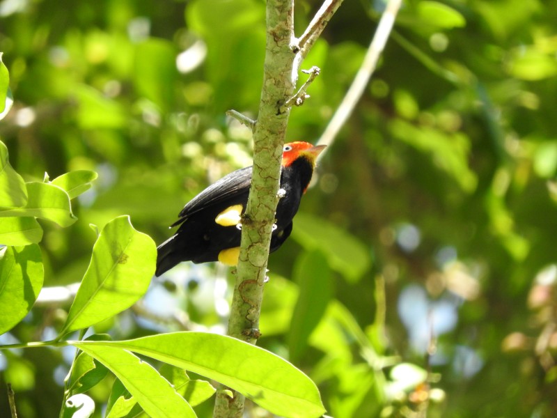 66 Parque Nacional Tikal